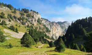 vallon mont aiguille