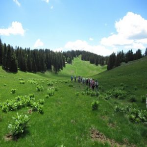 Séjour randonnée les grands espaces du Jura suisse