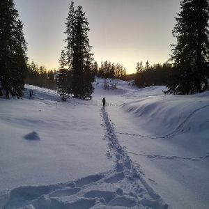 Séjour randonnée les hautes Combes Jura en raquette