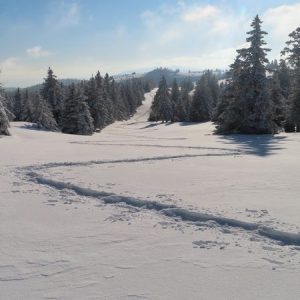 Séjour raquette les grands espaces du Jura suisse