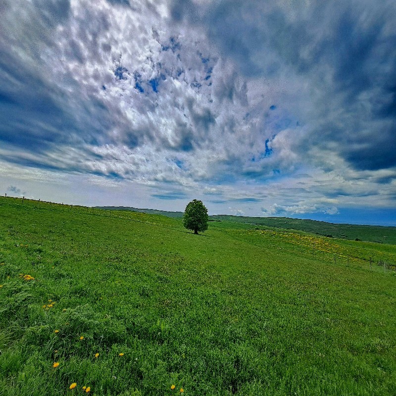La Lozère : les espaces y sont encore très sauvages et préservés .
