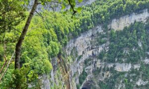 falaise du Vercors