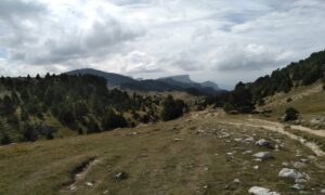 haut plateau