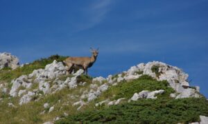 aventure trekkingséjour trail Vercors