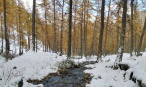aventure trekking séjour les vallées rousses mélézin enneigé