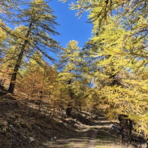 aventure trekking séjour les vallées rousses produit