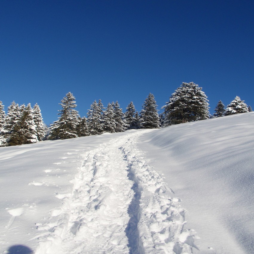 aventure-trekking-sejour-raquette-vercors-neige-et-saveurs-couverture