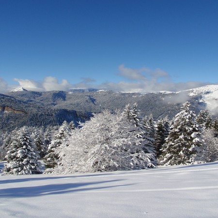 sejour-raquette-vercors-neige-et-saveurs-